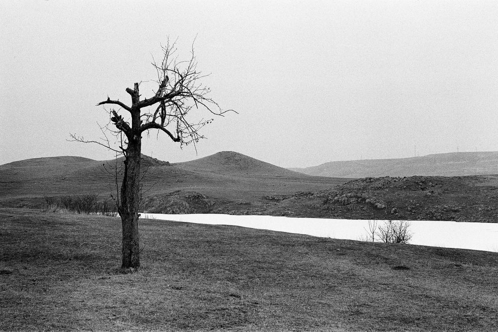 Фотография автора Vitalii Strakhov