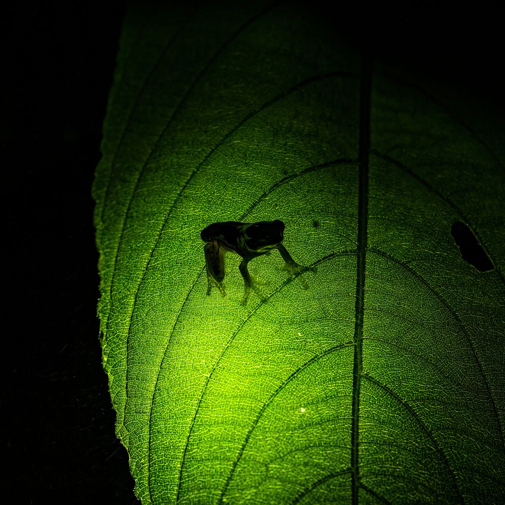 Фотография автора Saurabh Dhanorkar