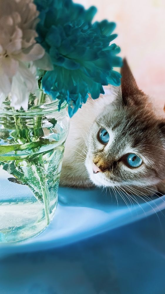 Photograph by Олеся Лосыгина