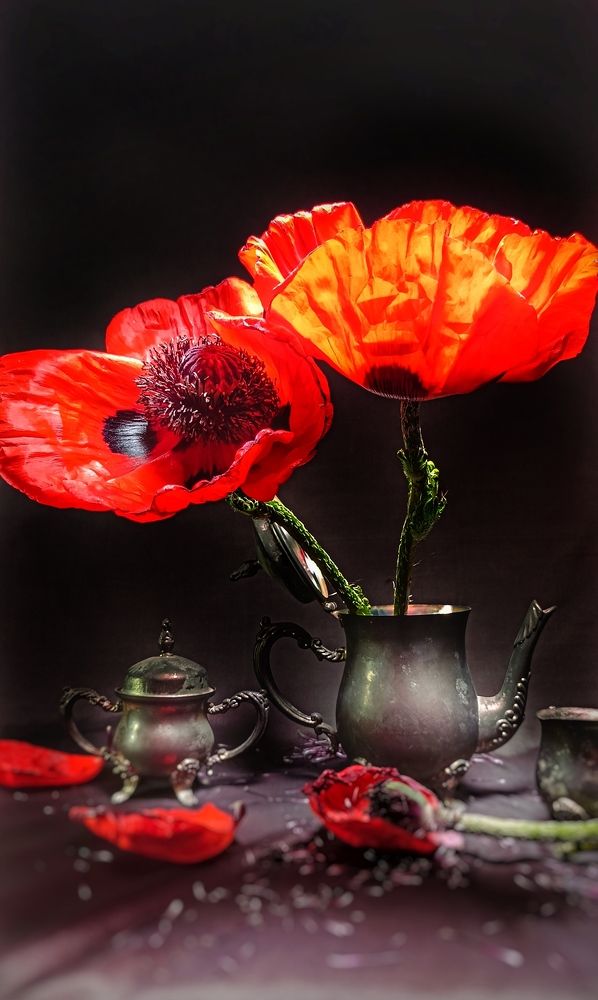 Photograph by Олеся Лосыгина