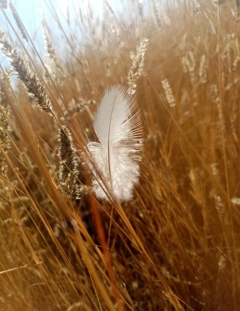 Фотография автора Bernadette Pretorius