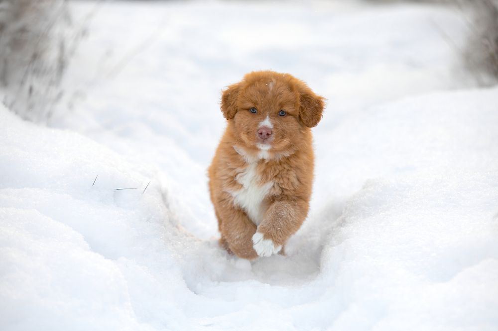 Photograph by Anna Oris