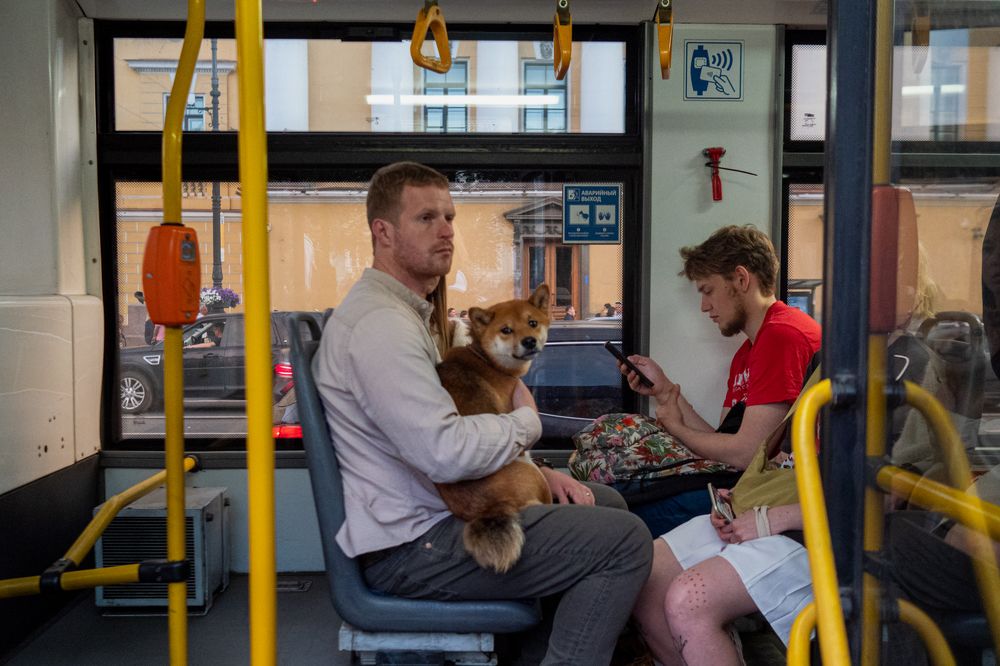 Photograph by Андрей Борисенко