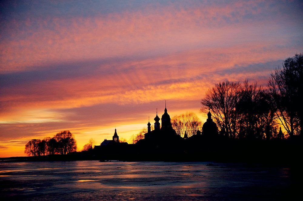 Фотография автора Дарья Васильева