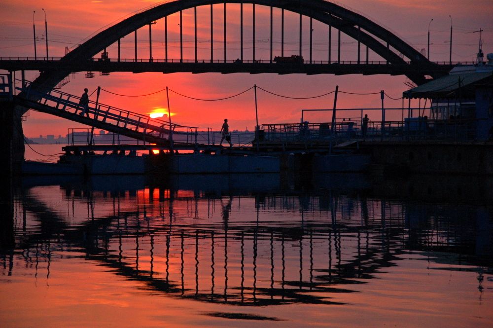 Фотография автора Дарья Васильева