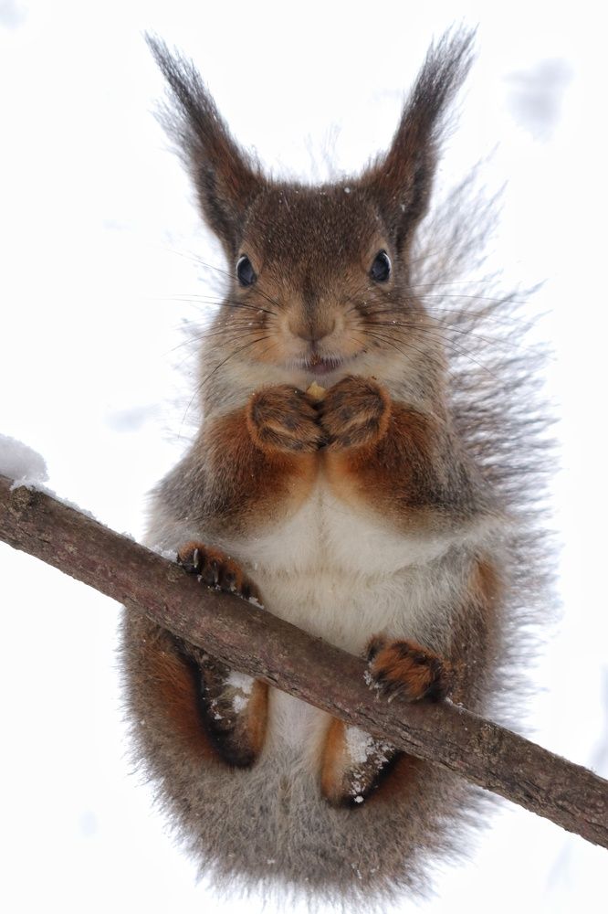 Photograph by Наталья Гайдукевич