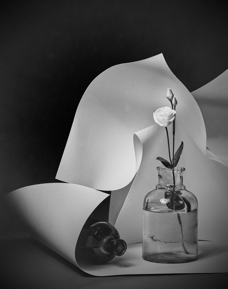 Photograph by Илья Калягин