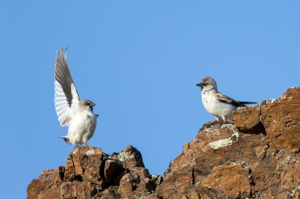 Фотография автора Гурьевских Евгений