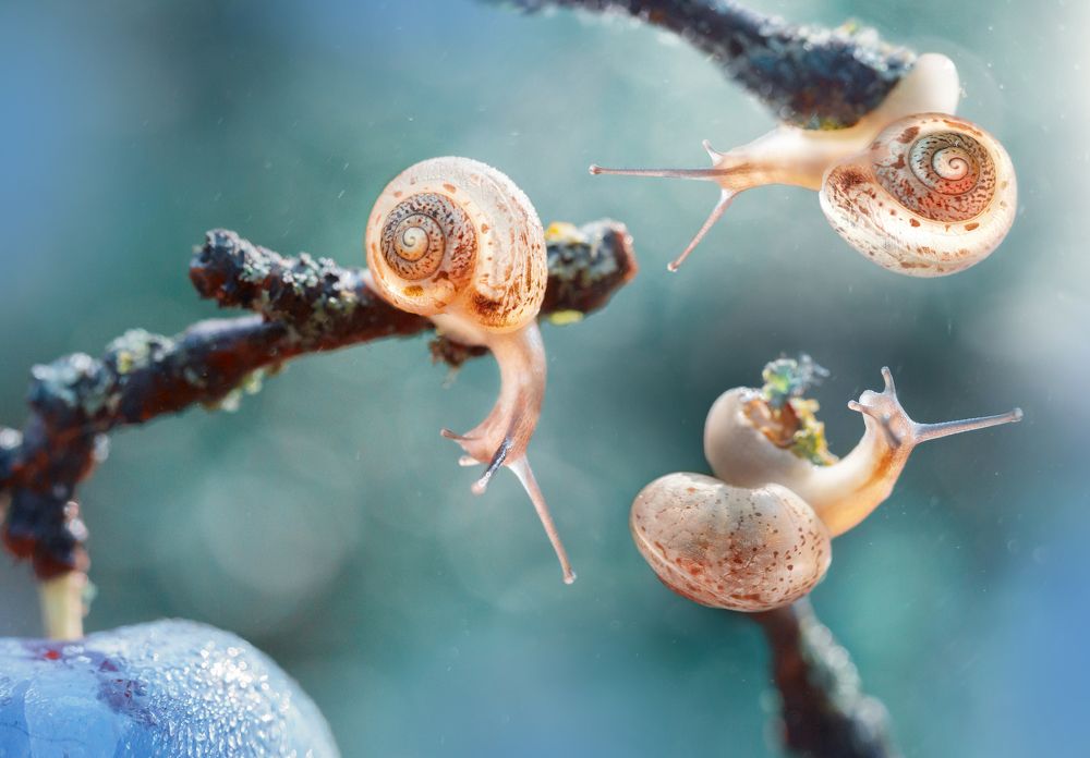 Круговорот жизни