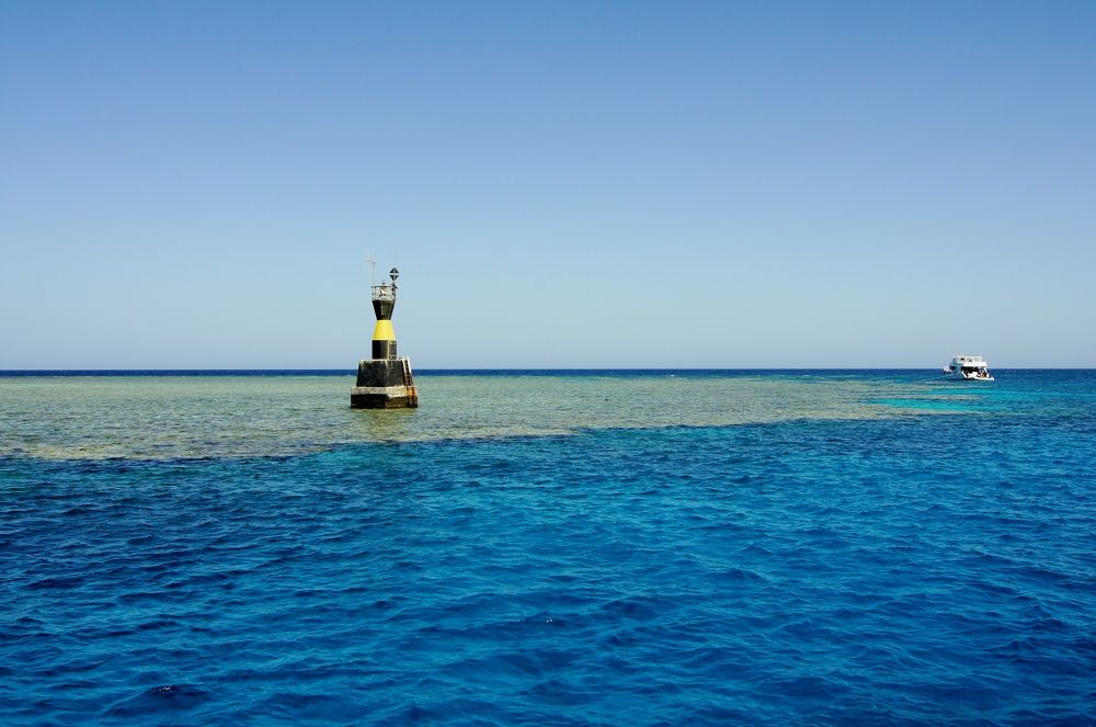 Photograph by Светлана Стрельцова