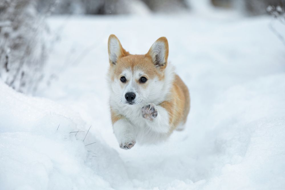 Photograph by Anna Oris