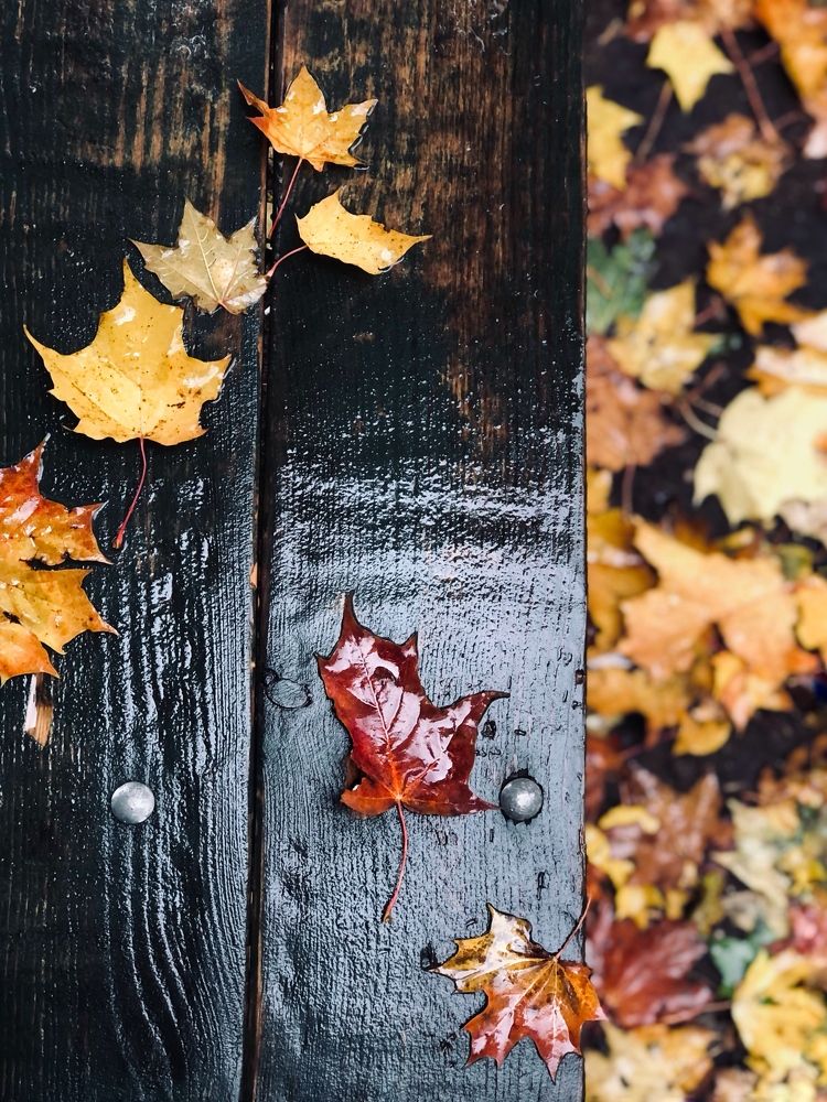 Photograph by Оксана Евстратова