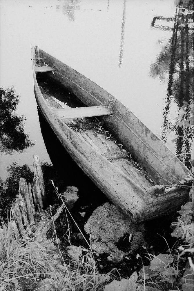 Photograph by Илья Калягин