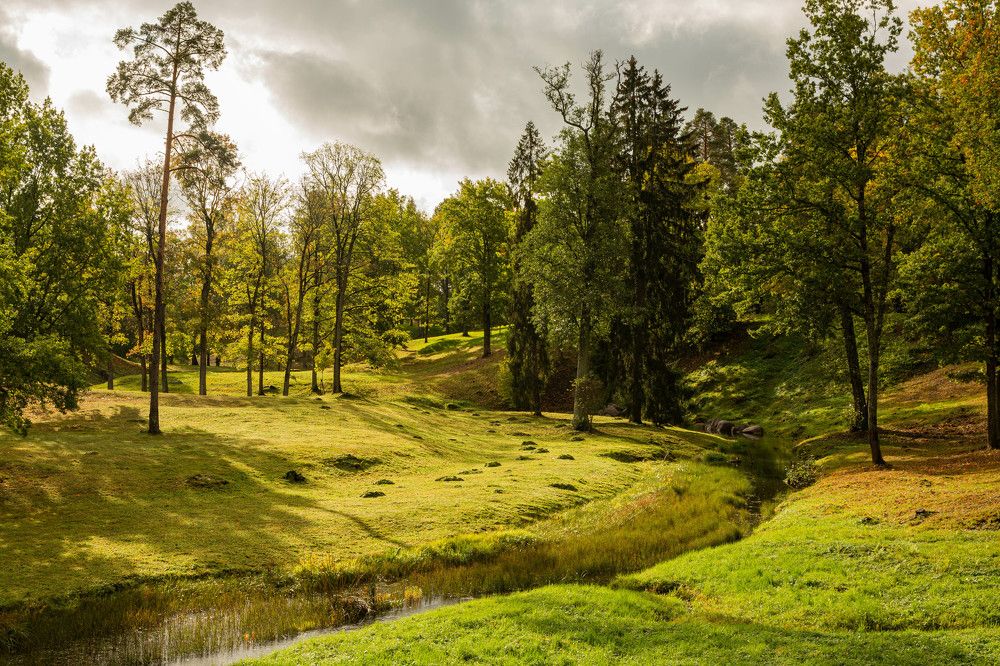 Фотография автора Алексей Тимофеев