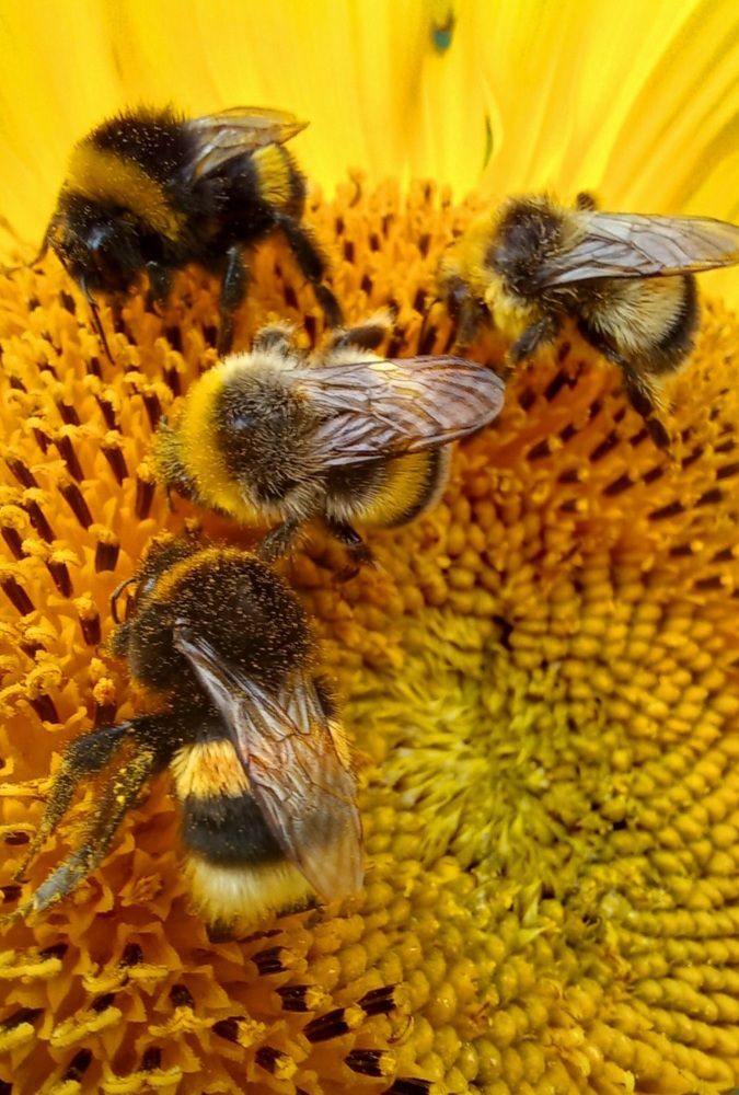 Photograph by Евгений Савулькин