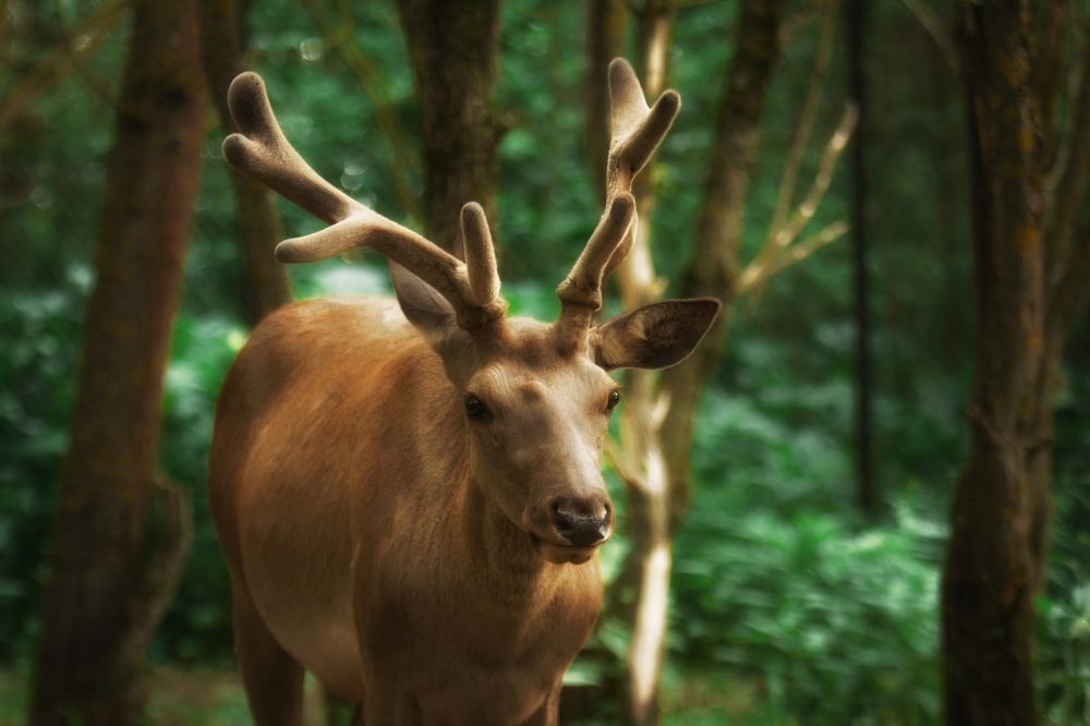 Photograph by Юлия Зубкова