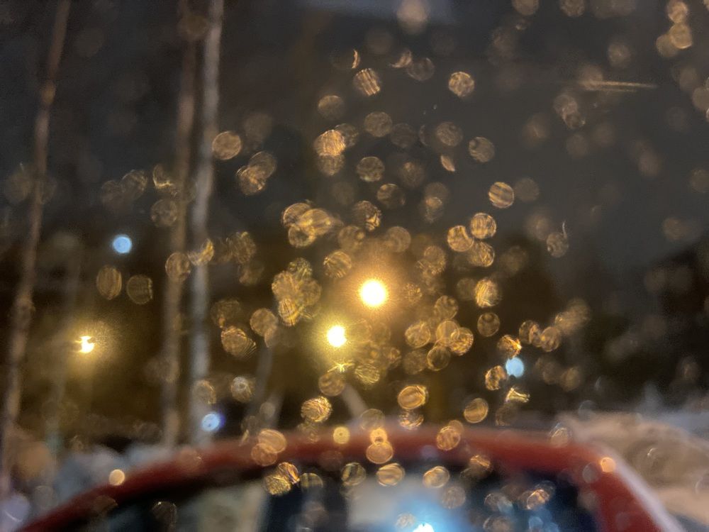 Photograph by Елена Мусина