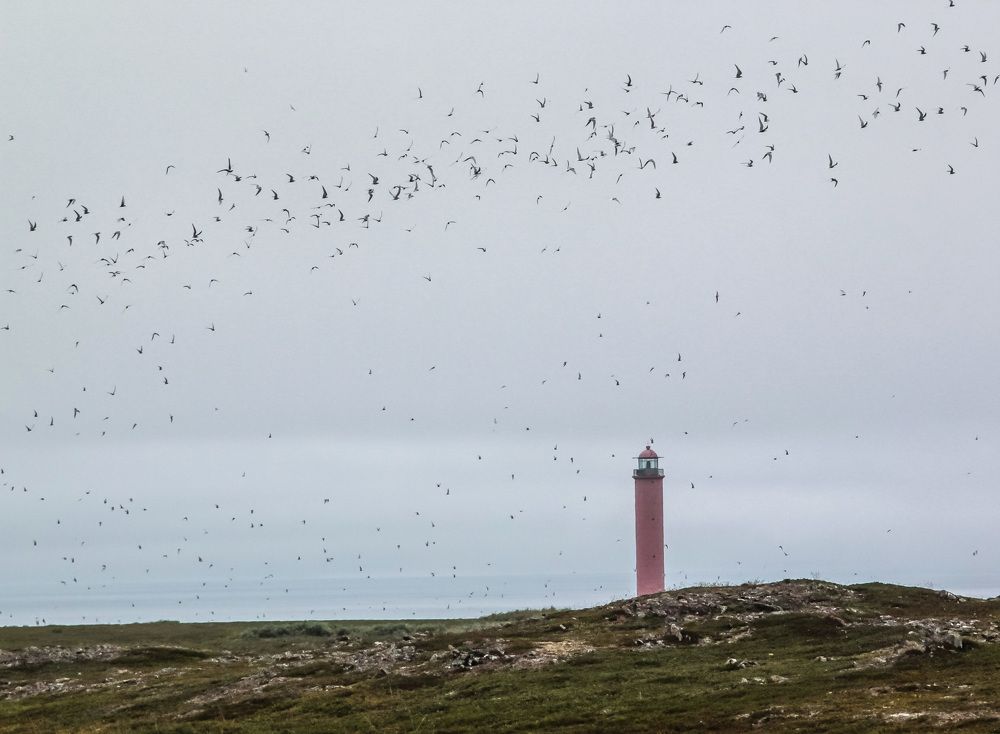 Photograph by Сагдиева Эльвира