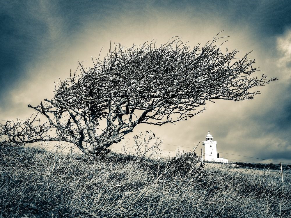 Фотография автора Ian Heard