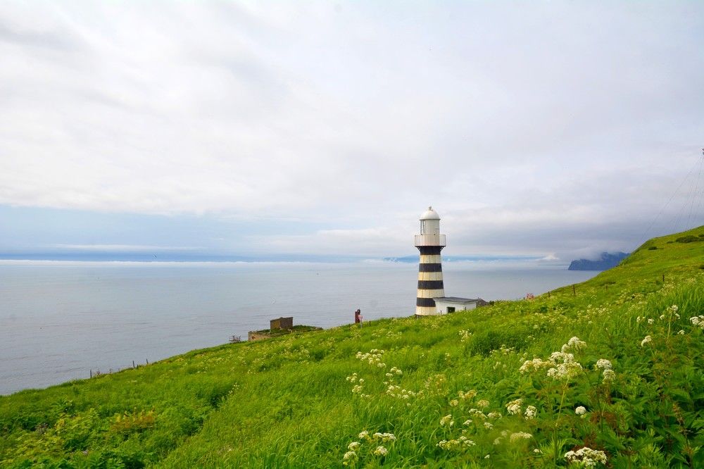 Photograph by Александр Новиков