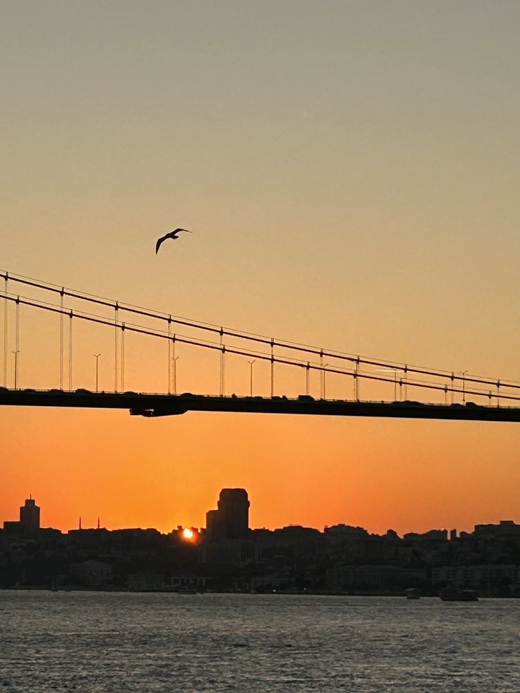 Freedom of the moment