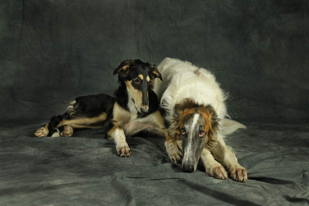 Photograph by Юлия Балашова