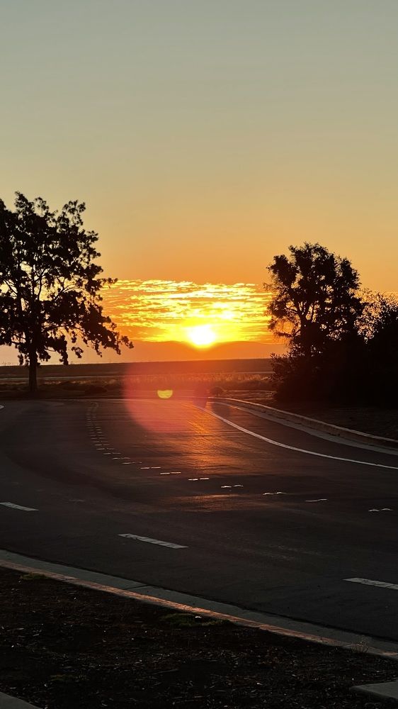 Photograph by Anna Cherkasova