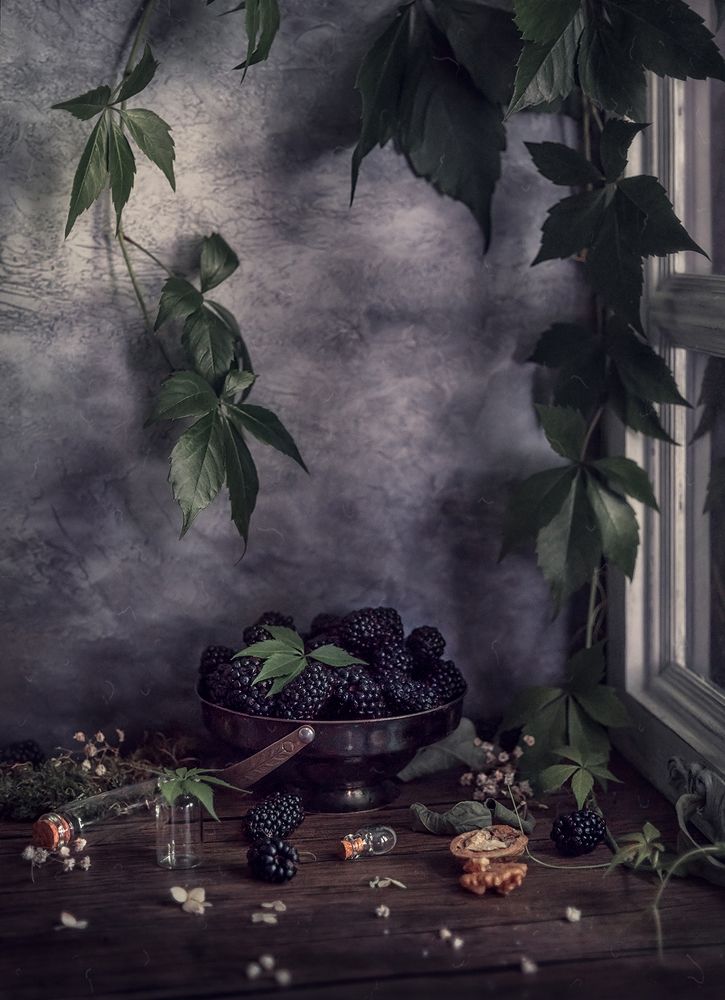Still Life with Mulberry/Натюрморт с шелковицей