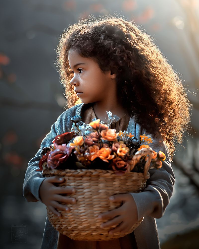 Фотография автора Carlos Gomes