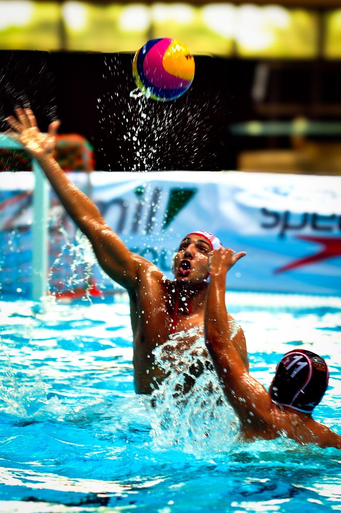 Фотография автора Elshafei Salih