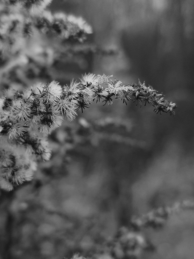 Photo #9920883