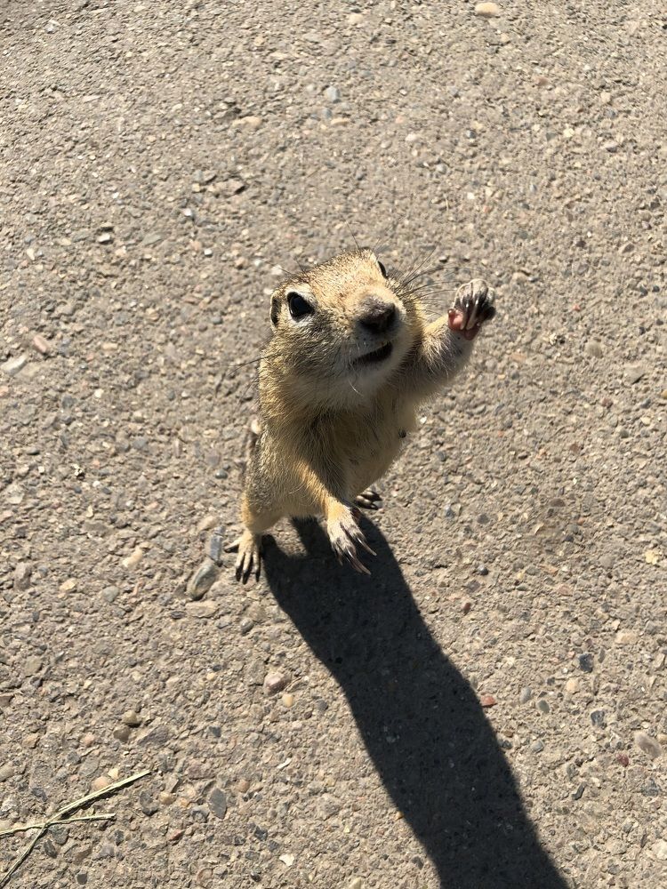 Фотография автора Светлана