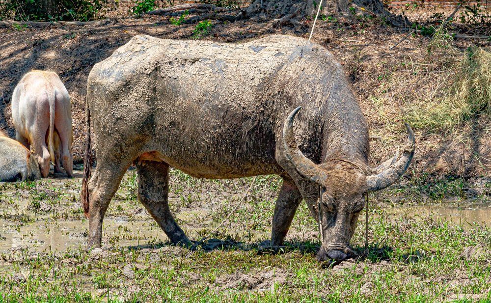 Photograph by Андрей Калинин