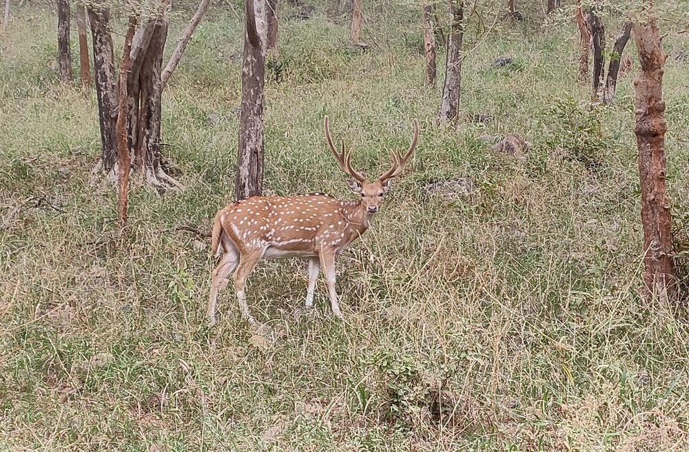 Photograph by Kapil Singh