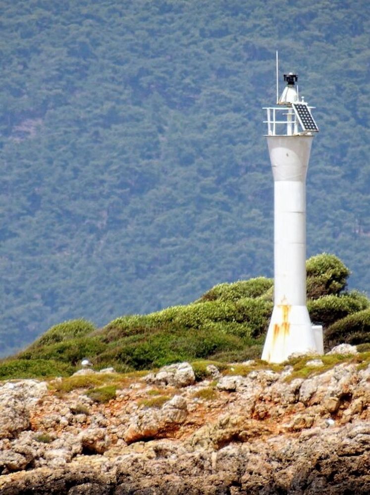 Фотография автора Роман Савоцкий