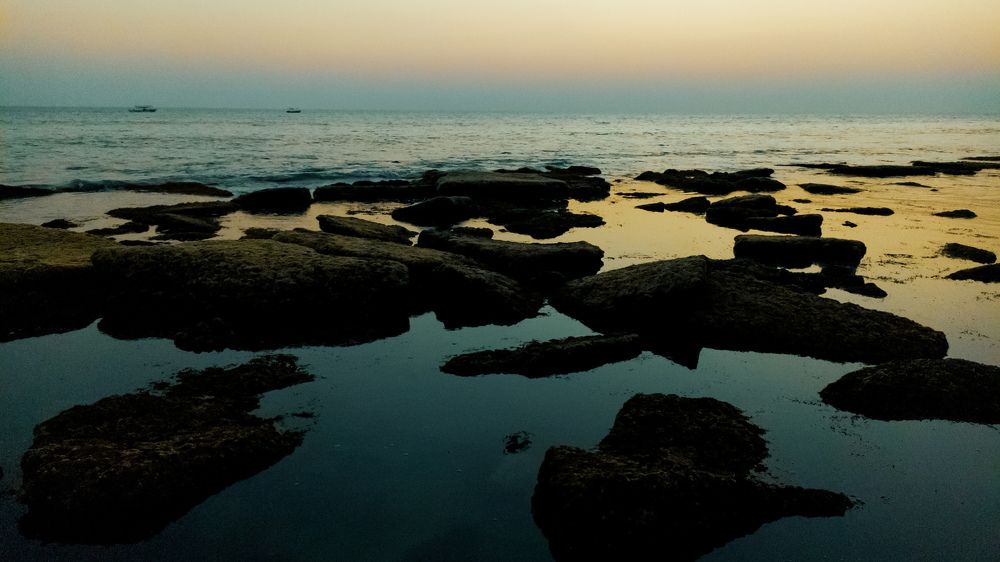 Photo #9921017