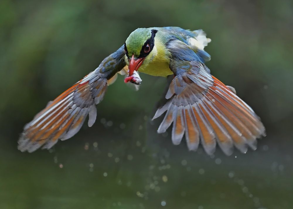 Photograph by Kan Chung Wong