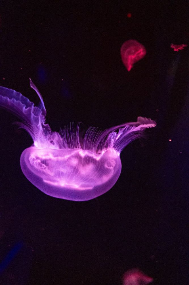 Photograph by Jeisson Leiton