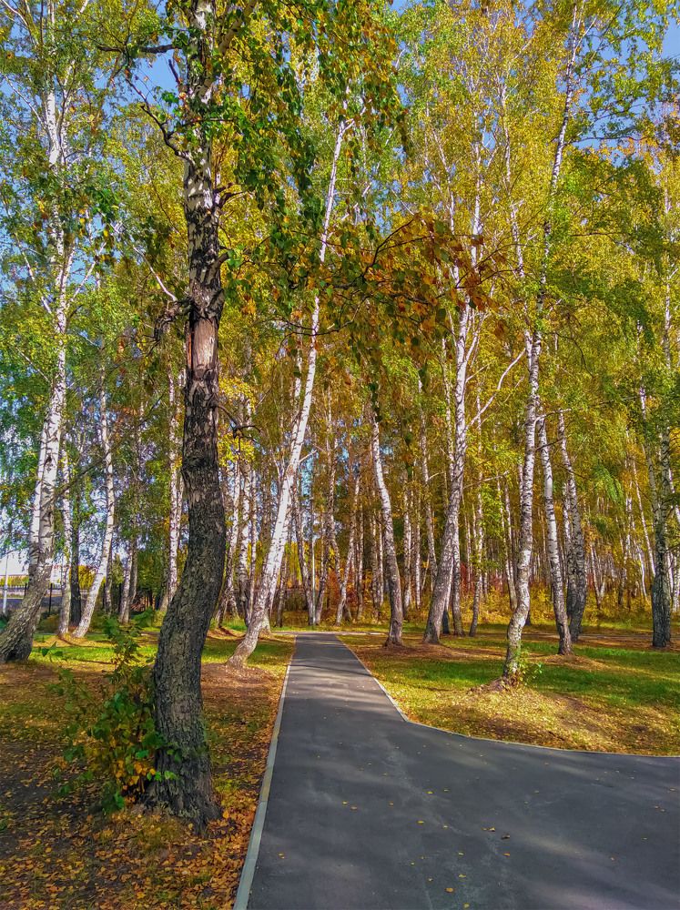 Photograph by Сергей