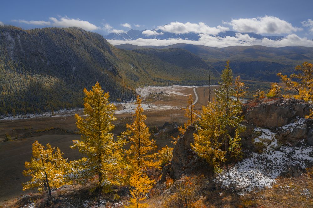 Подсветило солнышко