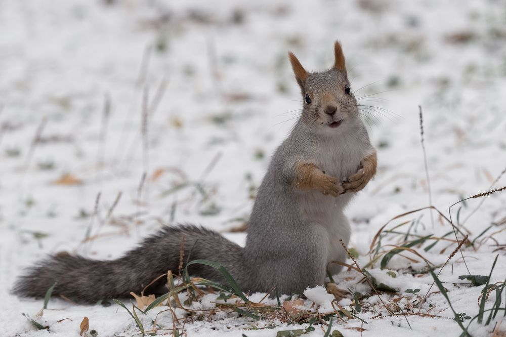 Photograph by Ольга Рагинская