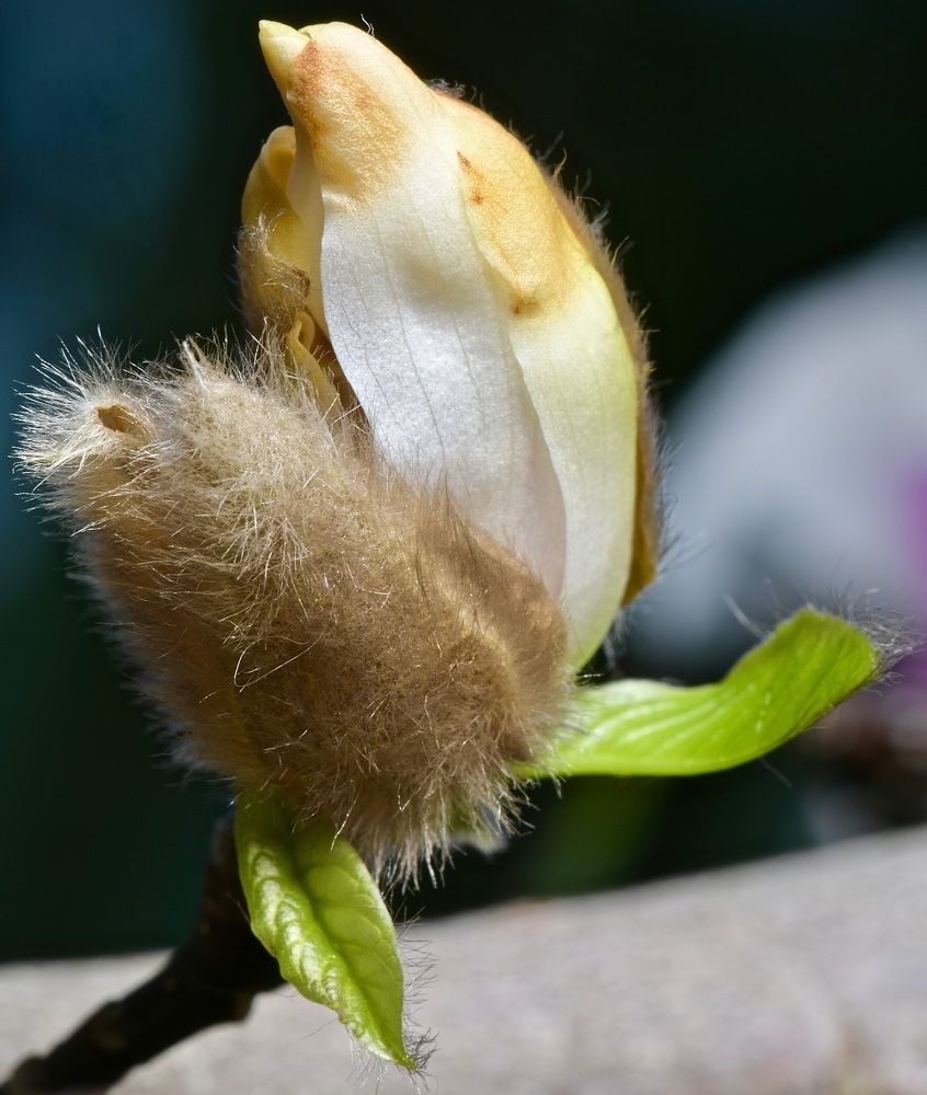 Photograph by Юлия Мартова