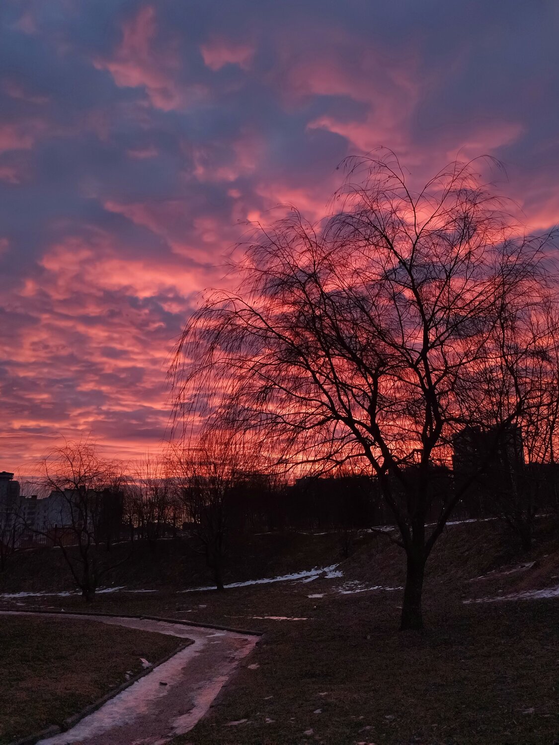 Photo #9921166