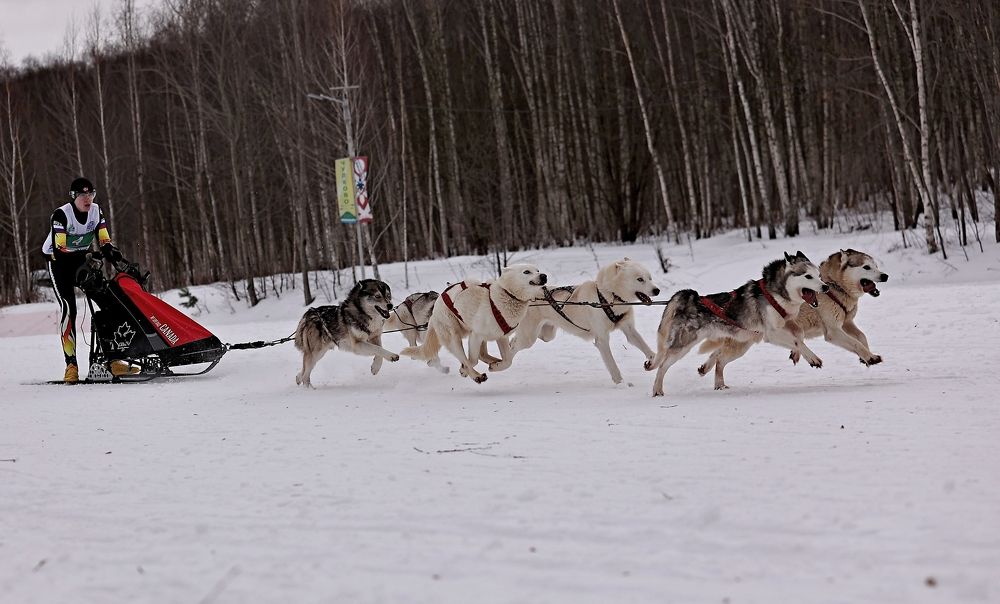 Photograph by Елена Одынец