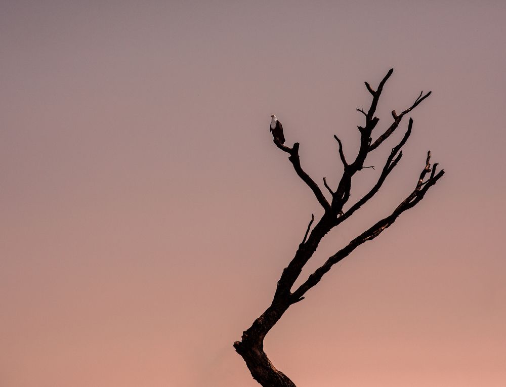 Другая сторона