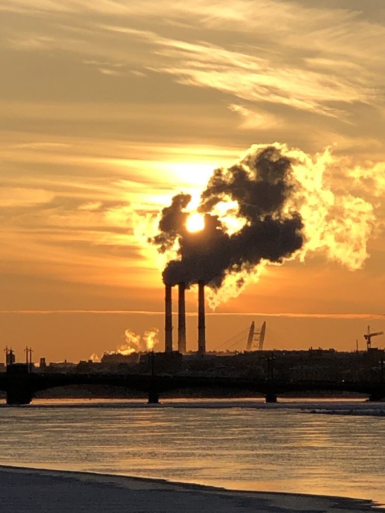 Photograph by Мария Бессмертная