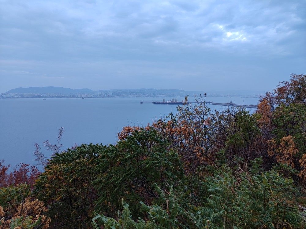 Photograph by Александр