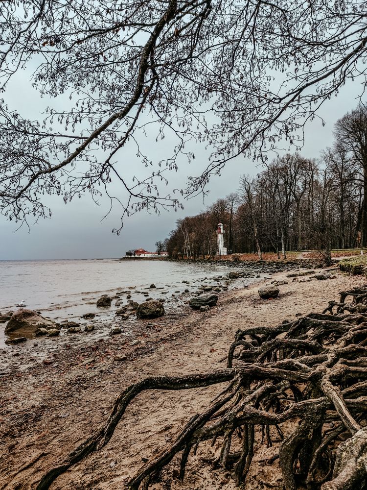 Photograph by Olga Royanova