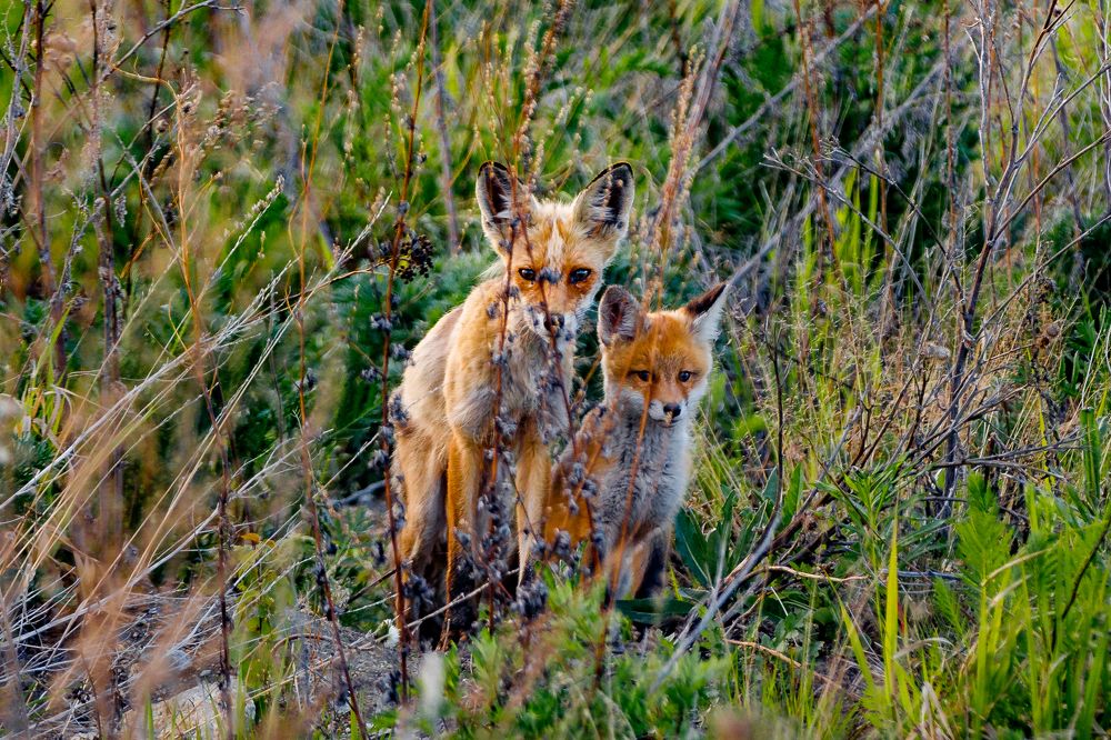 Photograph by Юрий Ломакин