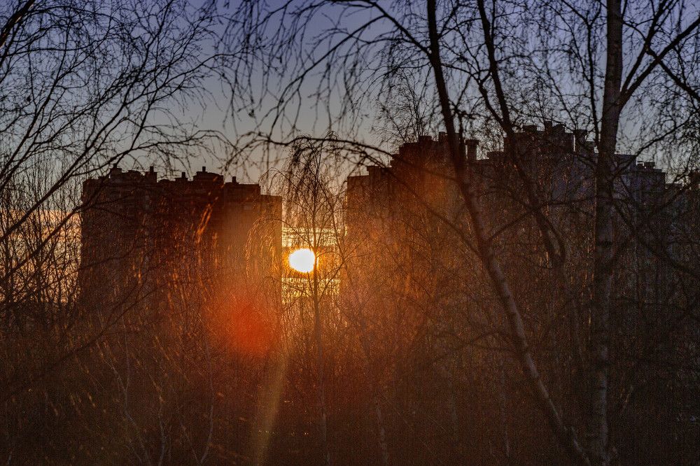 Photograph by Ольга Сафронова